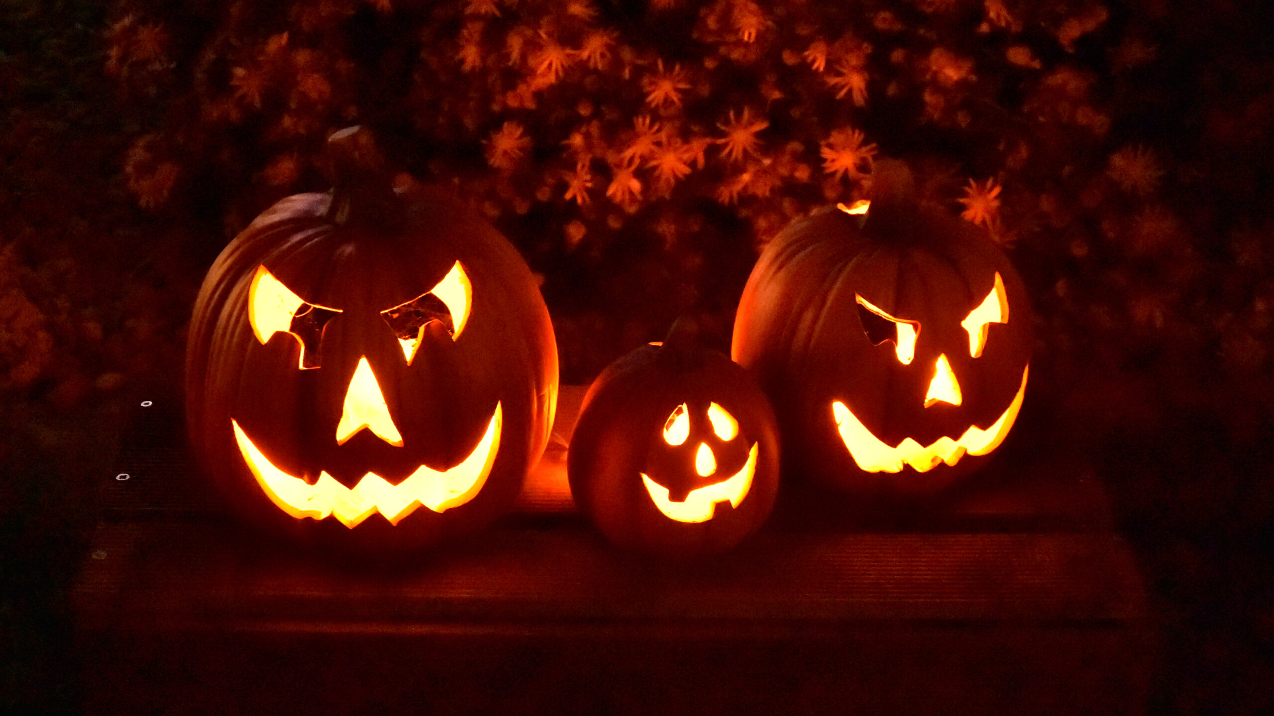 10 roliga saker att göra på Halloween i Göteborg 2025